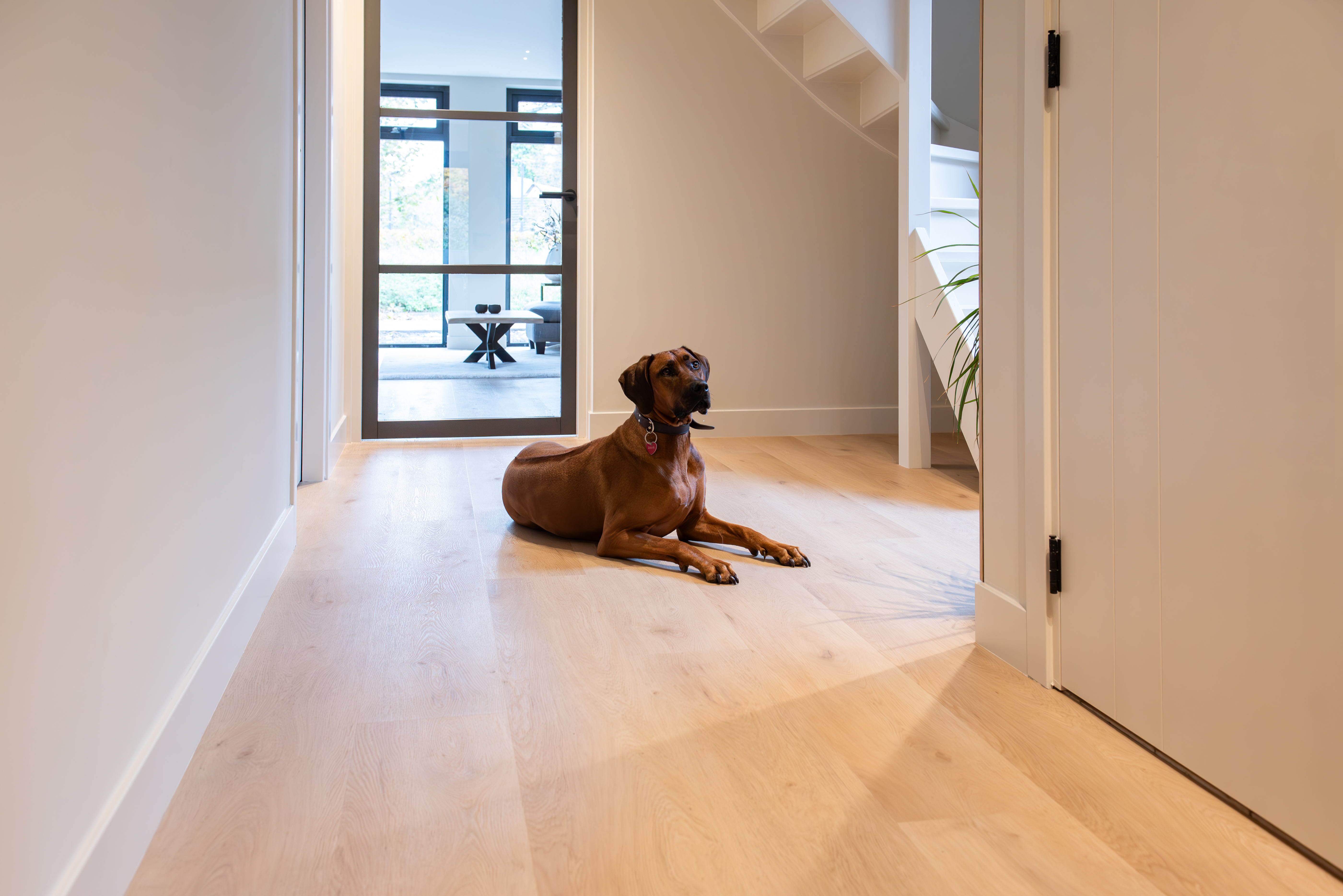 Attico 870 | Rigid Click